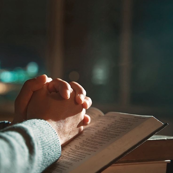 Open Bible